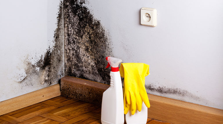 Mann bringt Außenputz an Hauswand an