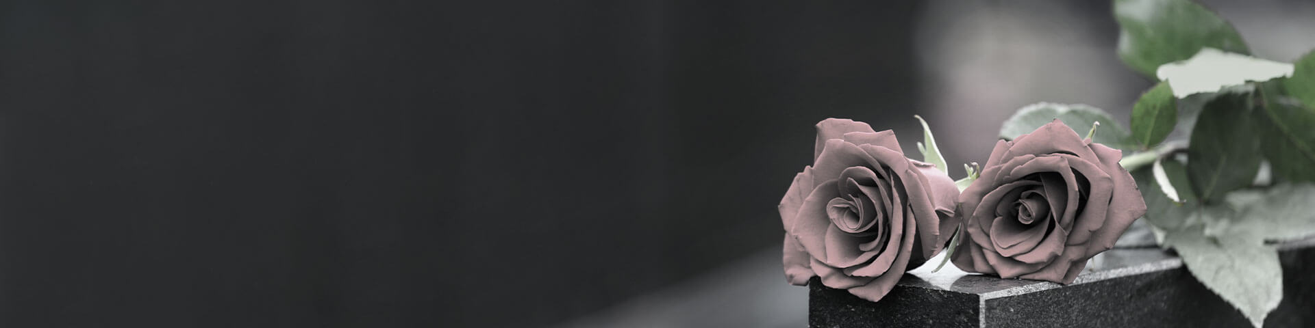 2 Rosen auf einem Grabstein