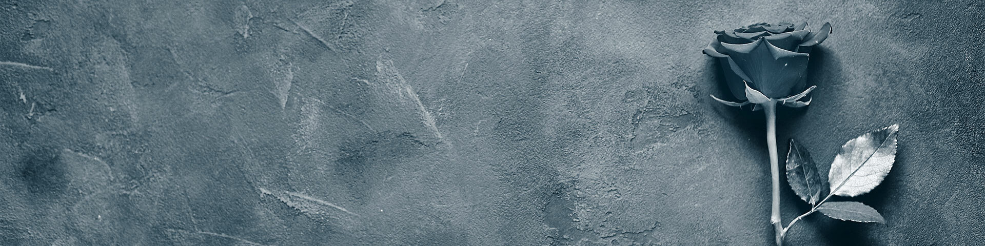 2 weiße Kerzen mit Lilien vor dunklem Hintergrund