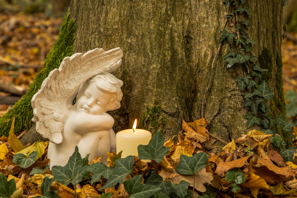 Herzen aus Holz und Stein an einem bemoosten Baumstamm